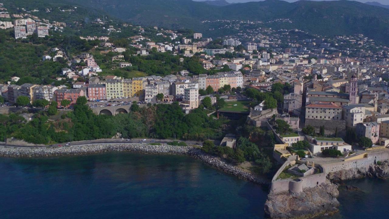 Colonella